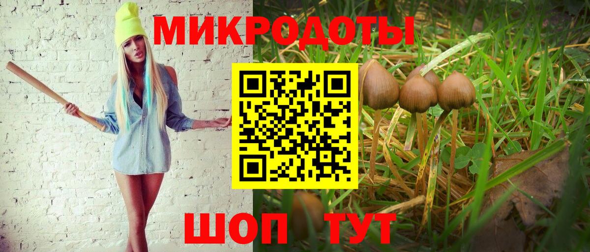 Галлюциногенные грибы GOLDEN TEACHER  Вход с VPN  Комсомольск-на-Амуре 